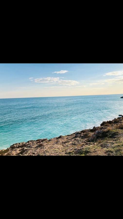 Grand Studio Bord De Mer Plus Piscine Sète Exteriér fotografie